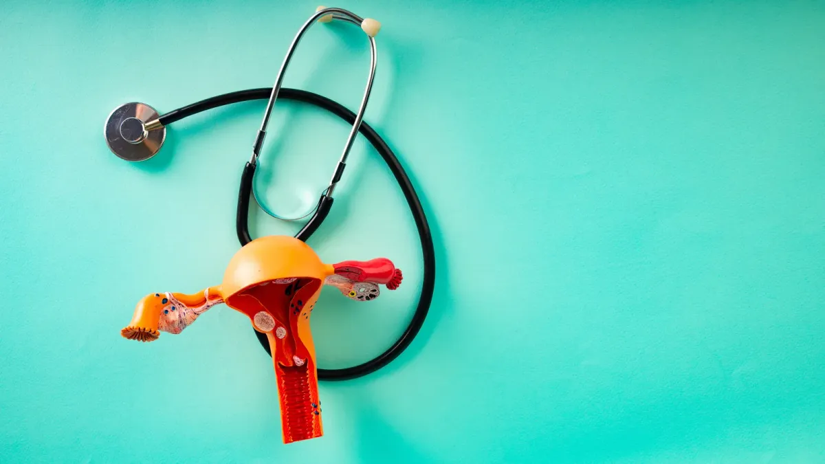 Modèle anatomique d'utérus et d'ovaires posé à côté d'un stéthoscope, sur fond turquoise