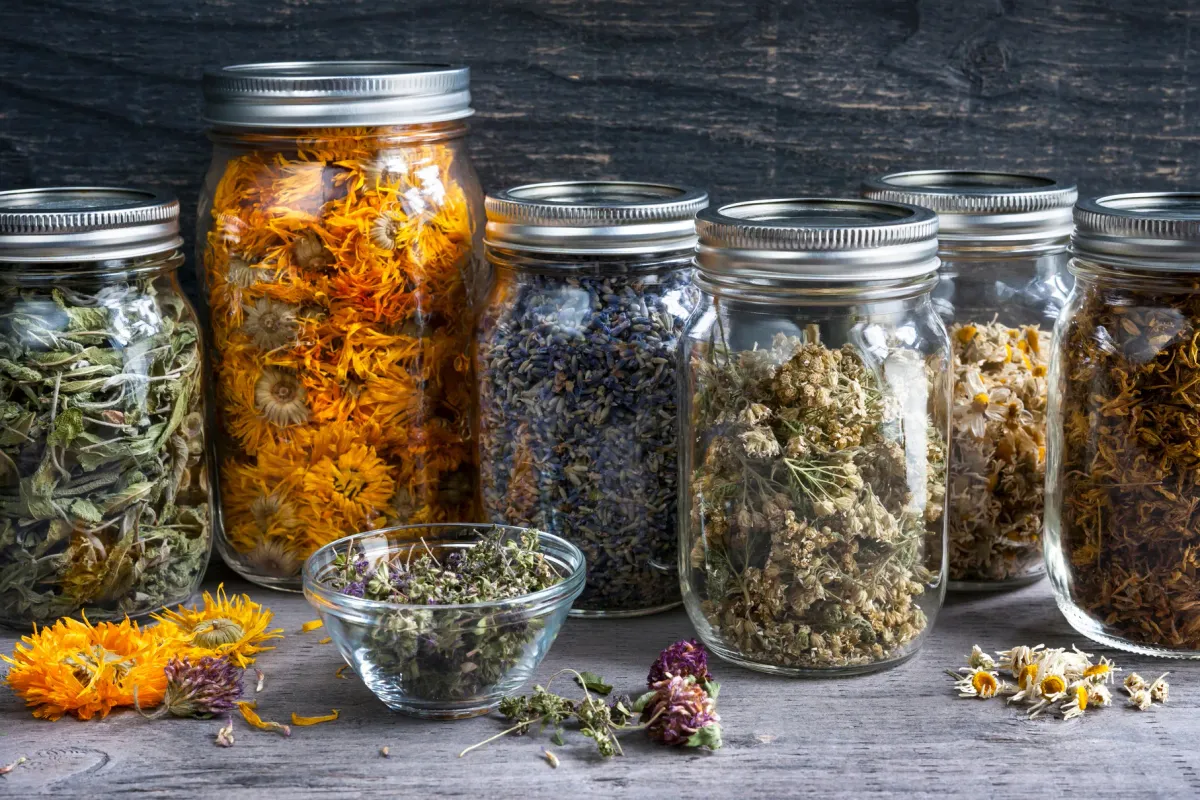 Bocaux de plantes séchées, calendula, lavande, camomille et achillée, posés sur une table en bois