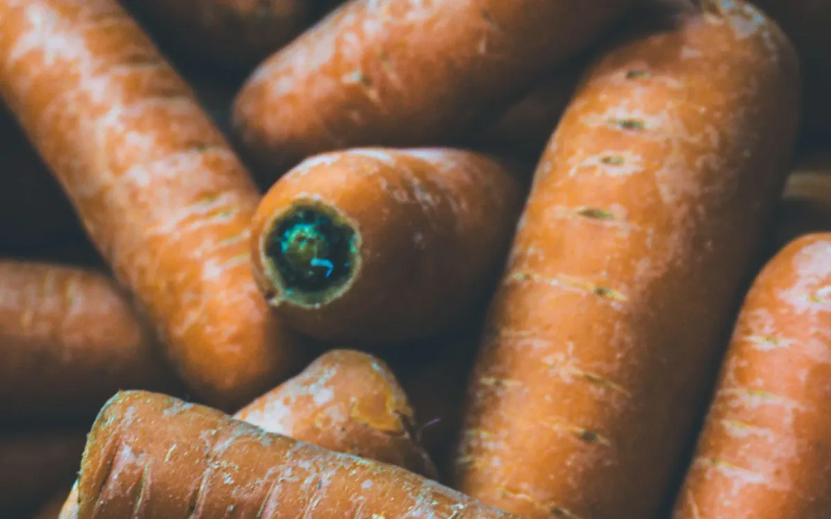 Carottes bio fraîches sur un étalage