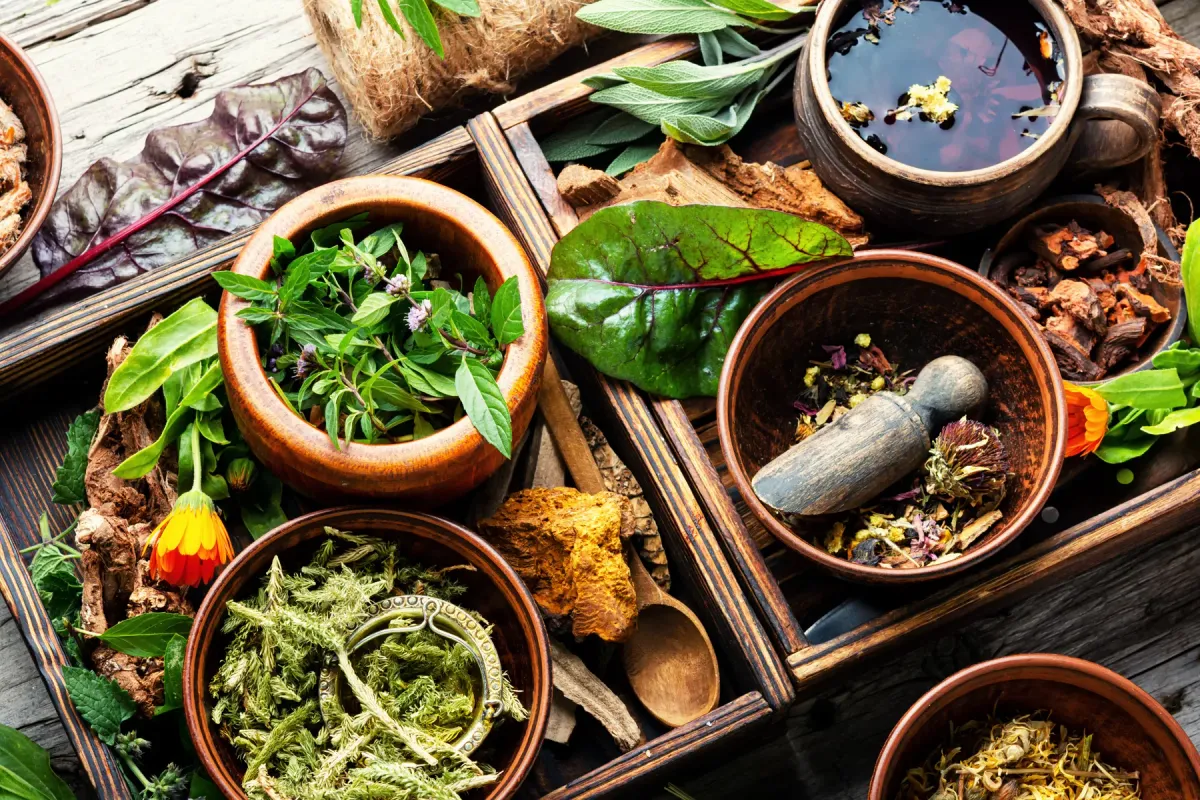 Bols de plantes, d'épices et d'aliments bruts posés sur une table