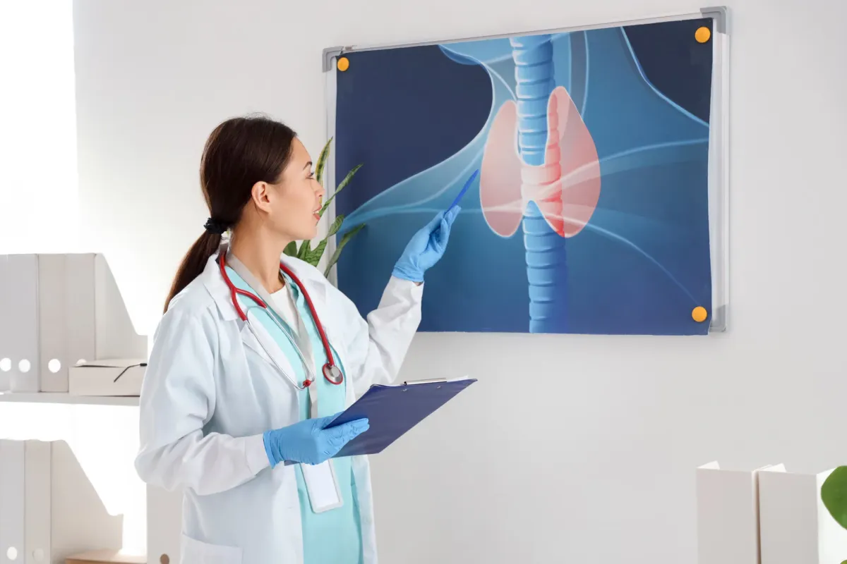 Médecin désignant un schéma de la thyroïde