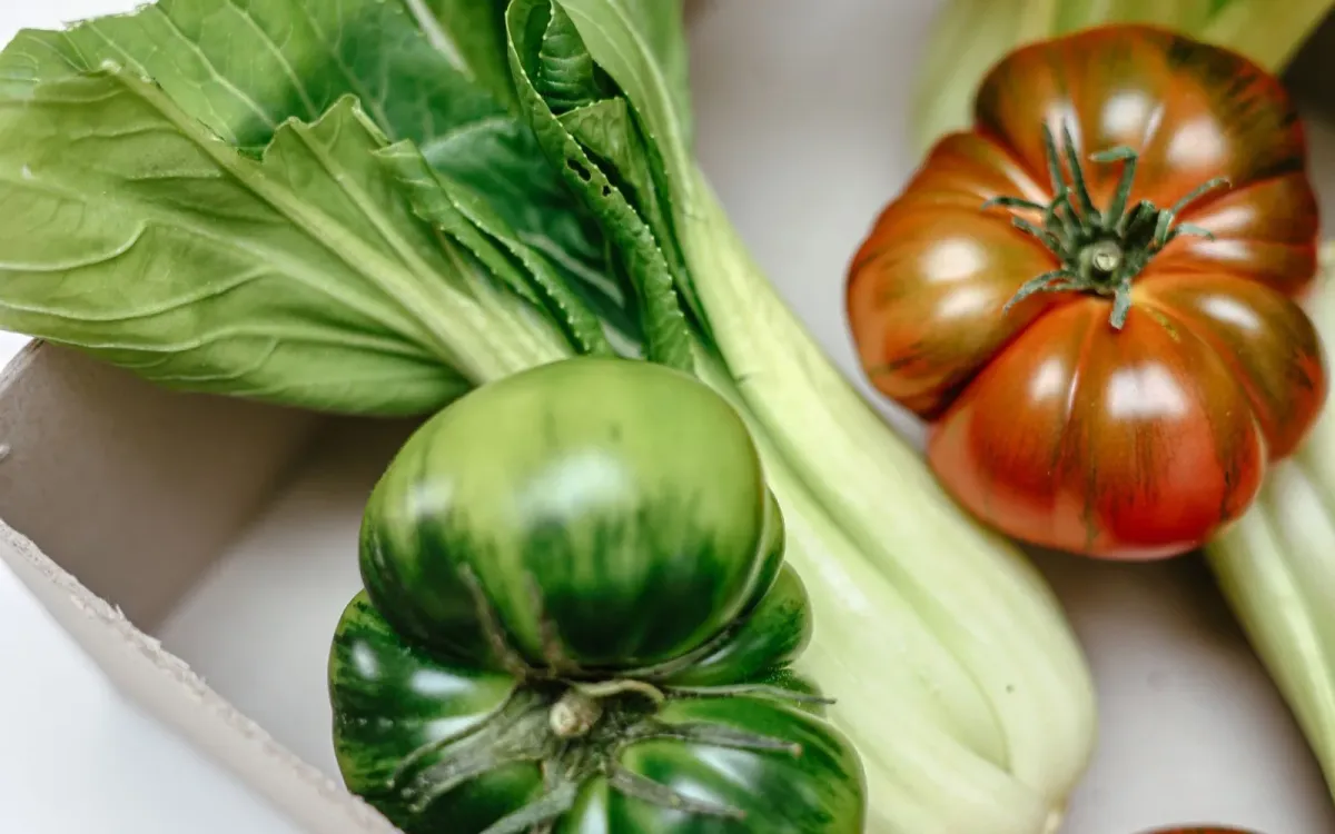 Légumes verts et tomates anciennes posés sur une assiette