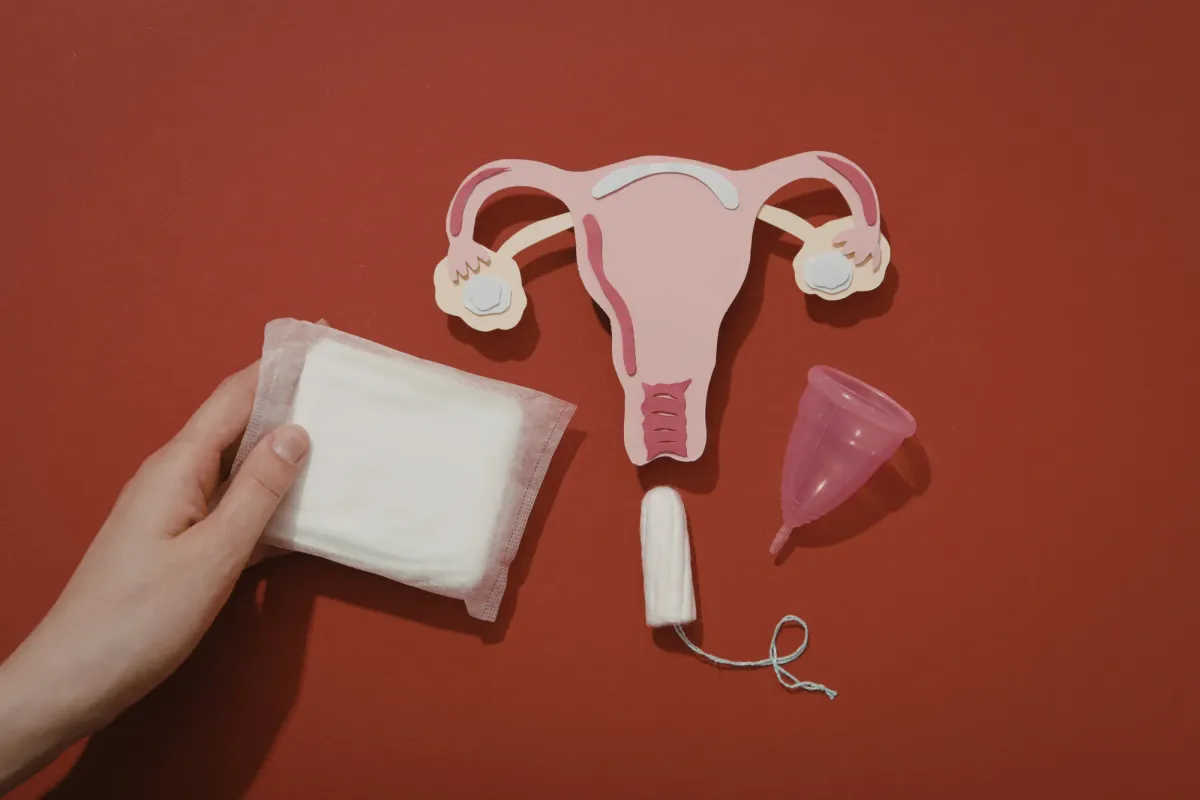 Protections hygiéniques disposées à côté d'un utérus en papier