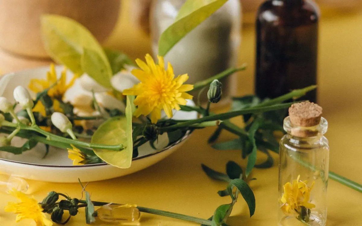 Fleurs de pissenlit fraîches à côté d'un flacon