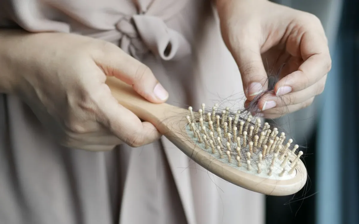 Des cheveux retirés d'une brosse en bois, la perte quotidienne qu'on finit par remarquer
