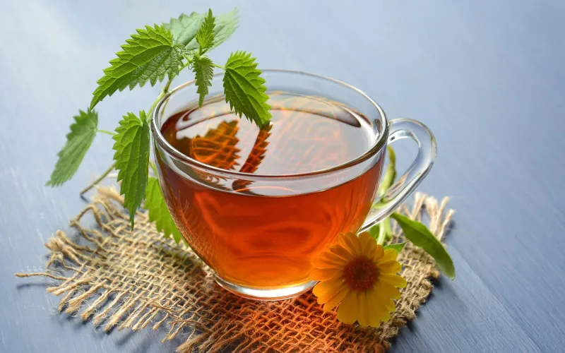 Infusion d'ortie et fleur de souci, l'ortie est une plante particulièrement riche en fer